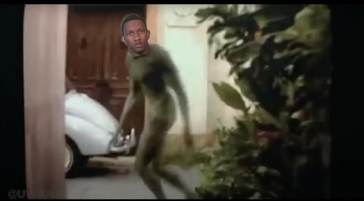 UWANIMAL just wants to have fun